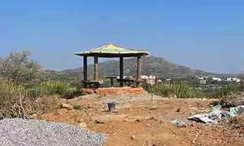 Bikaner: 10 करोड़ पौधे लगाने का संकल्प, लव कुश वाटिका से शुरू हुई हरियाली यात्रा