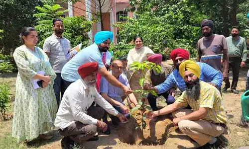 Jalandhar: हरित क्षेत्रों का विस्तार करें, वृक्षारोपण के बाद देखभाल सुनिश्चित करें