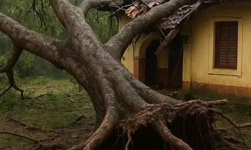 Goa में भारी बारिश के कारण पीपल का पेड़ उखड़ने से घर क्षतिग्रस्त