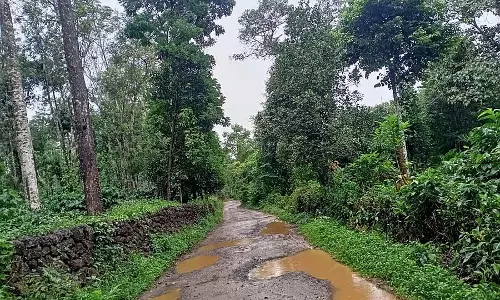 Karnataka :  ग्रामीण सड़कों के कायाकल्प की जरूरत