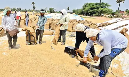 Telangana : राज्य में यासांगी धान की खरीद लगभग पूरी हो चुकी