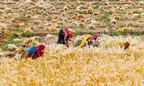 ग्रामीण कृषि नौकरियों में गिरावट के कारण मई में बेरोजगारी दर 5.6% पर पहुंची ग्रामीण कृषि नौकरियों में गिरावट के कारण मई में बेरोजगारी दर 5.6% पर पहुंची