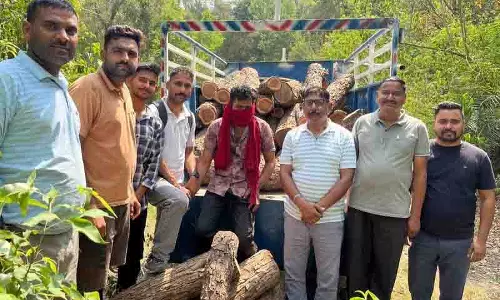 इंदौरा रेंज में अंतरराज्यीय Khair लकड़ी तस्करी रैकेट का भंडाफोड़