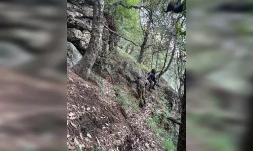 सेना ने Rajouri में नियंत्रण रेखा पर आतंकवादियों की घुसपैठ की कोशिश नाकाम की सेना ने Rajouri में नियंत्रण रेखा पर आतंकवादियों की घुसपैठ की कोशिश नाकाम की