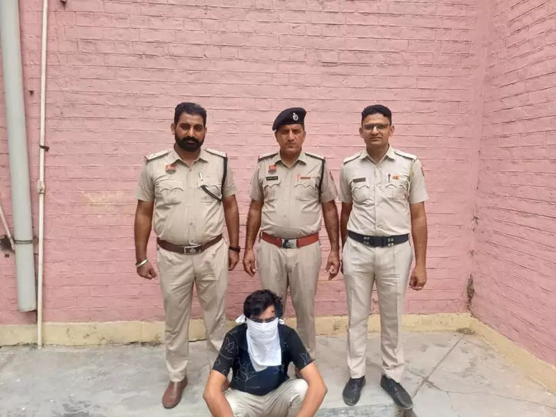 Haryana : फतेहाबाद पुलिस ने नशा तस्करों पर की कार्रवाई, 51 गिरफ्तार Haryana : फतेहाबाद पुलिस ने नशा तस्करों पर की कार्रवाई, 51 गिरफ्तार