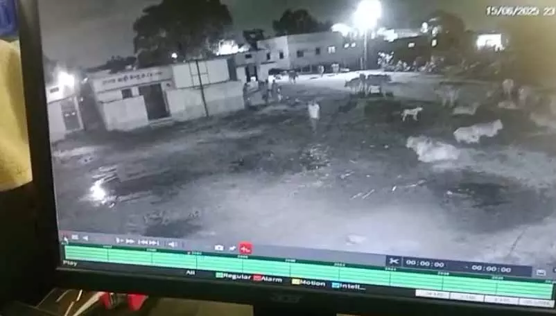 रायपुर : पंचायत दफ्तर में तोड़फोड़ फिर चोरी, वीडियो रायपुर : पंचायत दफ्तर में तोड़फोड़ फिर चोरी, वीडियो
