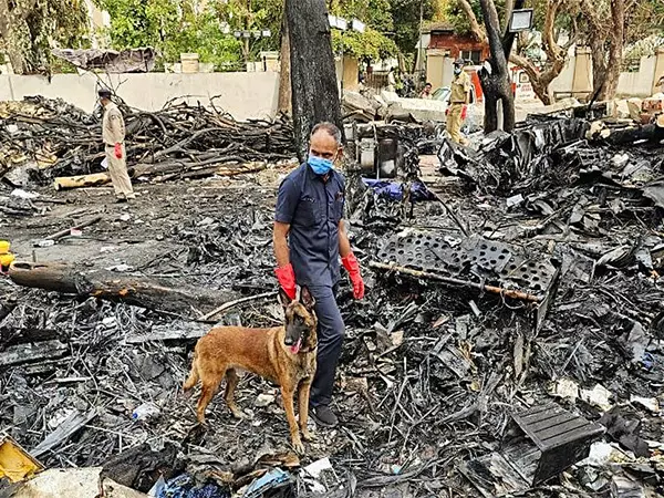 Air India plane crash: गुजरात गृह मंत्री ने कहा- 144 डीएनए नमूनों का मिलान किया गया Air India plane crash: गुजरात गृह मंत्री ने कहा- 144 डीएनए नमूनों का मिलान किया गया