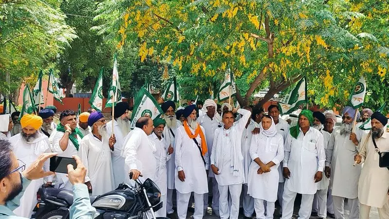 Sirsa के किसानों ने जारी पानी की कमी के बीच तत्काल जलापूर्ति की मांग की Sirsa के किसानों ने जारी पानी की कमी के बीच तत्काल जलापूर्ति की मांग की