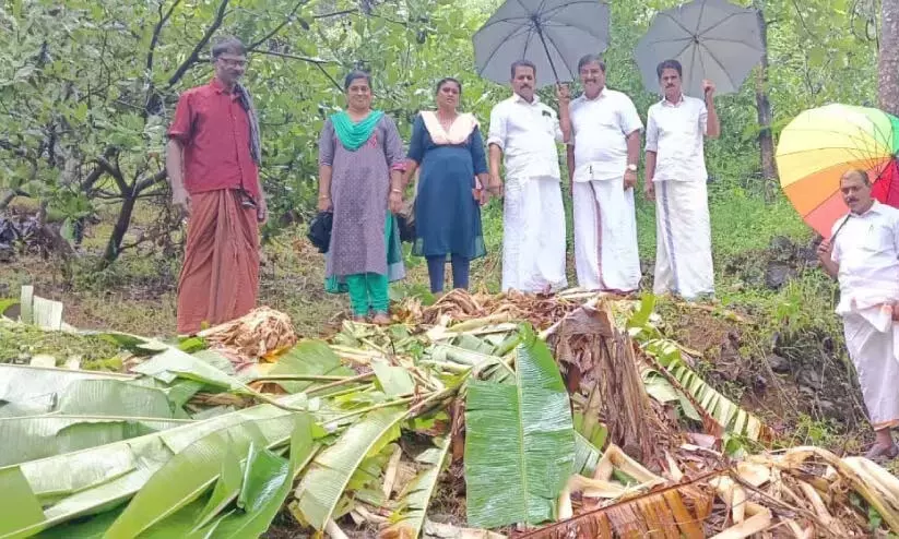 Kerala : जंगली हाथियों ने अय्यनकुन्नु पर हमला कर फसलों को नष्ट कर दिया Kerala : जंगली हाथियों ने अय्यनकुन्नु पर हमला कर फसलों को नष्ट कर दिया