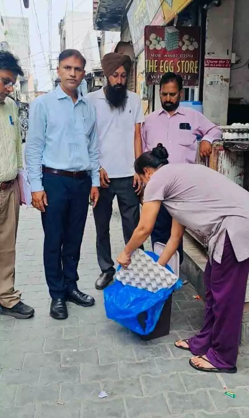 DHO ने अंडे के थोक विक्रेताओं की दुकानों का निरीक्षण किया DHO ने अंडे के थोक विक्रेताओं की दुकानों का निरीक्षण किया