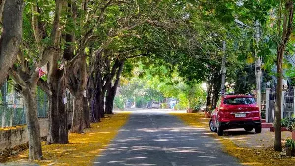 Canadian व्यक्ति ने बताया कि वह 8 साल पहले भारत क्यों आया था Canadian व्यक्ति ने बताया कि वह 8 साल पहले भारत क्यों आया था