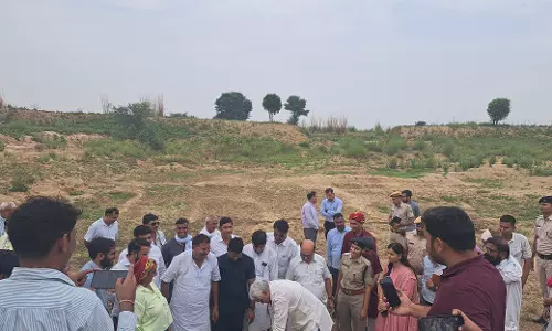 Hariyalo Rajasthan के तहत दुर्लभ नाथ मंदिर में जिला प्रभारी मंत्री ने किया पौधारोपण Hariyalo Rajasthan के तहत दुर्लभ नाथ मंदिर में जिला प्रभारी मंत्री ने किया पौधारोपण