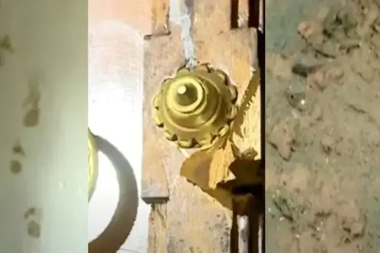 भालू ने Malappuram मंदिर में मूर्तियां गिराईं, प्रसाद खाया स्थानीय लोगों को फिर से हमले की आशंका भालू ने Malappuram मंदिर में मूर्तियां गिराईं, प्रसाद खाया स्थानीय लोगों को फिर से हमले की आशंका