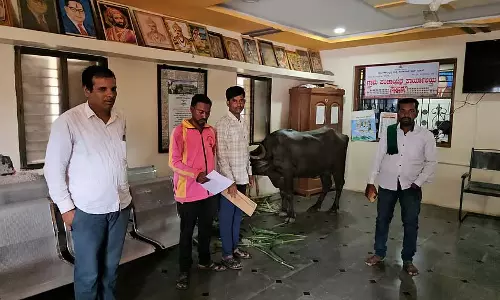 सहायता उपलब्ध नहीं: किसान ने ग्राम पंचायत के अंदर बांधी भैंस सहायता उपलब्ध नहीं: किसान ने ग्राम पंचायत के अंदर बांधी भैंस