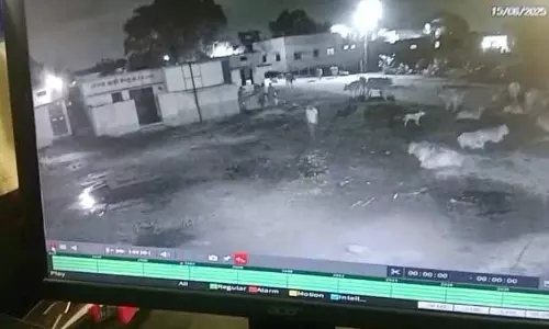 रायपुर : पंचायत दफ्तर में तोड़फोड़ फिर चोरी, वीडियो