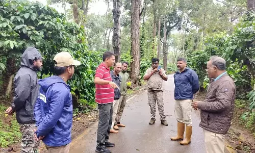 बाघ मिला: वन विभाग का अभियान बाघ मिला: वन विभाग का अभियान