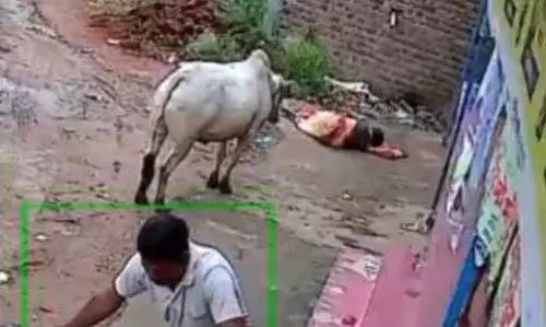 क्षणभर में आई मौत, महिला की उखड़ी सांस क्षणभर में आई मौत, महिला की उखड़ी सांस