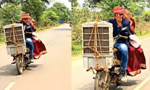 दूल्हे ने लगाया ऐसा जुगाड़, VIDEO ने इंटरनेट पर मचाया तहलका दूल्हे ने लगाया ऐसा जुगाड़, VIDEO ने इंटरनेट पर मचाया तहलका