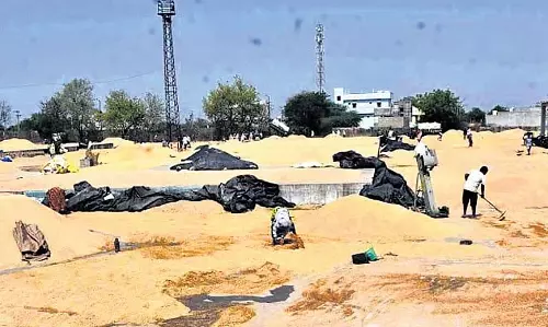 Odisha के किसानों ने धान खरीद संबंधी चिंताओं को लेकर मुख्यमंत्री से मदद मांगी Odisha के किसानों ने धान खरीद संबंधी चिंताओं को लेकर मुख्यमंत्री से मदद मांगी