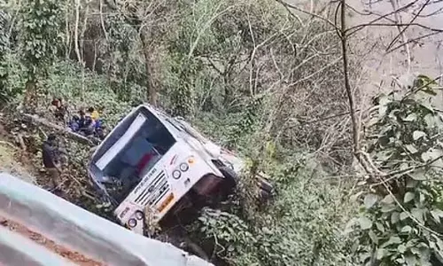 हिमाचल में घाटी में बस पलटी: 17 घायल हिमाचल में घाटी में बस पलटी: 17 घायल