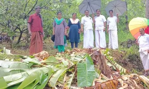 Kerala : जंगली हाथियों ने अय्यनकुन्नु पर हमला कर फसलों को नष्ट कर दिया