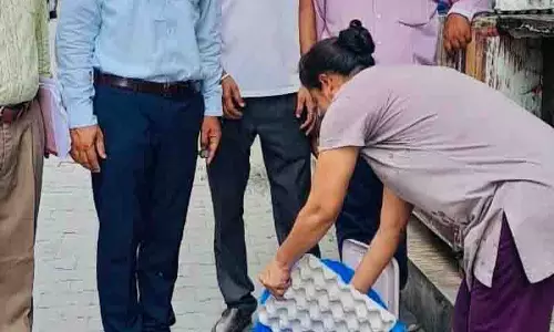 DHO ने अंडे के थोक विक्रेताओं की दुकानों का निरीक्षण किया