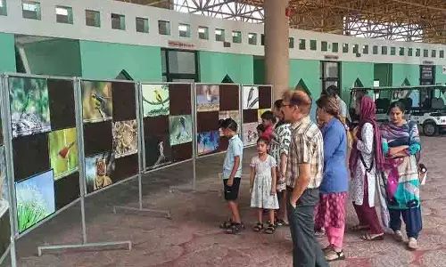 Jalandhar: साइंस सिटी ने प्रदर्शनी के साथ मनाया प्रकृति फोटोग्राफी दिवस