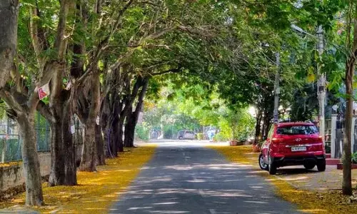Canadian व्यक्ति ने बताया कि वह 8 साल पहले भारत क्यों आया था Canadian व्यक्ति ने बताया कि वह 8 साल पहले भारत क्यों आया था