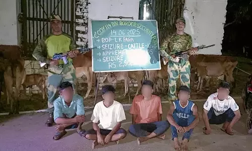 BSF ने त्रिपुरा में 5 तस्करों को पकड़ा, मवेशियों को बचाया BSF ने त्रिपुरा में 5 तस्करों को पकड़ा, मवेशियों को बचाया