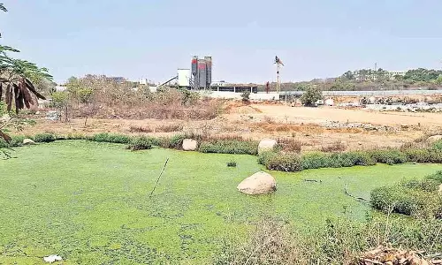 Khajaguda भूमि पर कांग्रेस विधायकों की याचिका: बुजुर्गों को सलाम, गरीबों का समर्थन