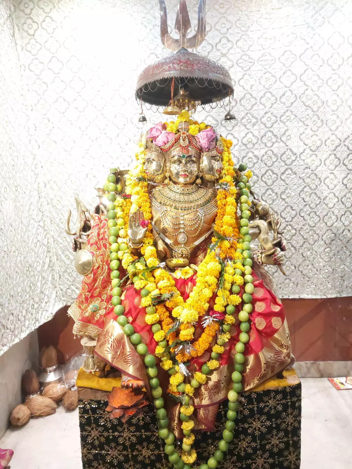 रायपुर कामाख्या मंदिर में 22 जून से पांच दिवसीय अंबुवाची योग पूजा रायपुर कामाख्या मंदिर में 22 जून से पांच दिवसीय अंबुवाची योग पूजा
