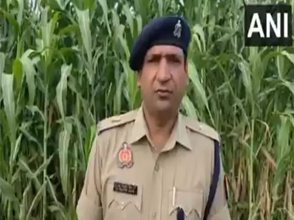 Bulandshahr में कार पलटने और उसमें आग लगने से 5 लोगों की मौत, 1 घायल Bulandshahr में कार पलटने और उसमें आग लगने से 5 लोगों की मौत, 1 घायल