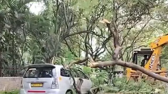 CM सिद्धारमैया के सरकारी आवास के सामने गिरा विशाल पेड़: वाहनों को नुकसान CM सिद्धारमैया के सरकारी आवास के सामने गिरा विशाल पेड़: वाहनों को नुकसान