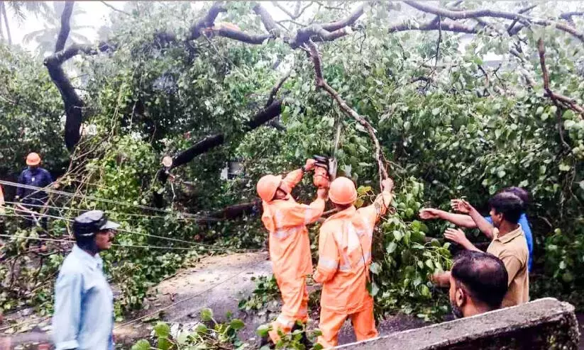 Kerala : बरगद के पेड़ की टहनी गिरने से शिक्षक व छात्र घायल Kerala : बरगद के पेड़ की टहनी गिरने से शिक्षक व छात्र घायल