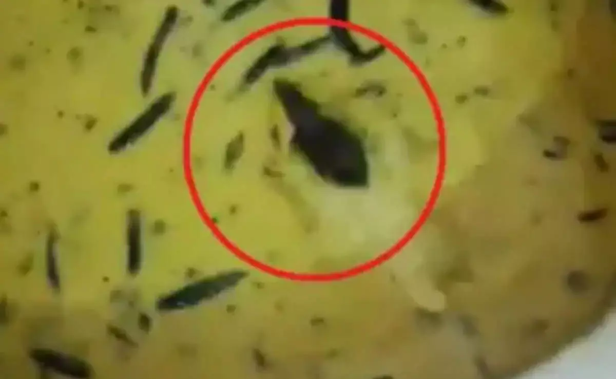 चटनी में कीड़ा परोसा, विरोध जताने पर बहस करने लगा नेता जी होटल का संचालक चटनी में कीड़ा परोसा, विरोध जताने पर बहस करने लगा नेता जी होटल का संचालक
