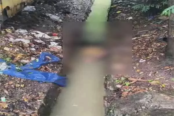 Chakradharpur: इतवारी बाजार के पास नाले से व्यक्ति का शव बरामद Chakradharpur: इतवारी बाजार के पास नाले से व्यक्ति का शव बरामद