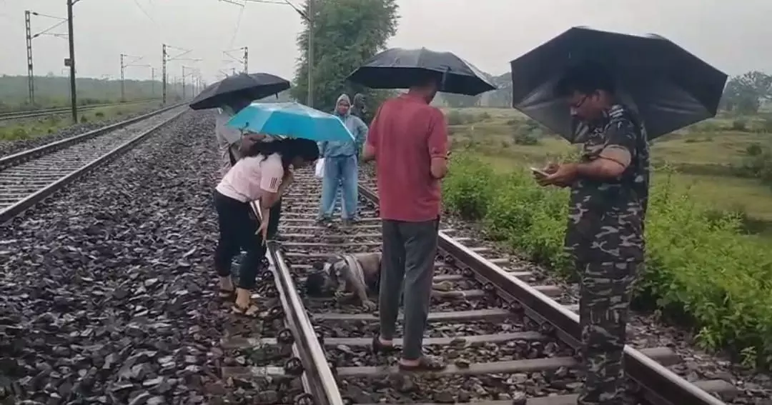 Chaibasa: लोटापहाड़ रेलवे स्टेशन के पास रेल लाइन पर मिला शव, हत्या की आशंका Chaibasa: लोटापहाड़ रेलवे स्टेशन के पास रेल लाइन पर मिला शव, हत्या की आशंका