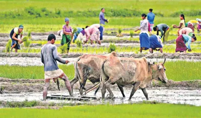 चुनाव भरोसा!..सरकार ने बादलों पर बांट दिया रायथू भरोसा चुनाव भरोसा!..सरकार ने बादलों पर बांट दिया रायथू भरोसा