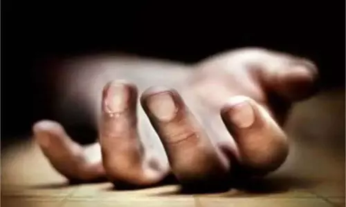 Himachal : मधुमक्खियों के हमले में घायल व्यक्ति की मौत