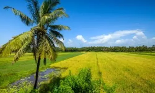 Goa सरकार ने चुनाव में विफलताओं के कारण 30 कम्यूनिडेडों को डिफॉल्टर घोषित करने का प्रस्ताव रखा