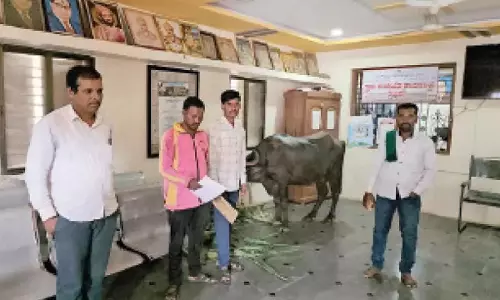 Karnataka: धनराशि जारी न होने से हताश किसान ने पंचायत कार्यालय में बांधी गाय