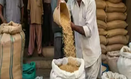 Jalore: खाद्य विभाग ने आमंत्रित किए आवेदन, खाली राशन दुकानों के लिए करें अप्लाई