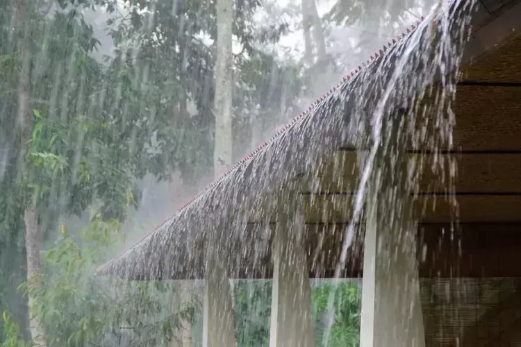 Kannur  कासरगोड में मंगलवार को रेड अलर्ट गुरुवार तक कई जिलों में भारी बारिश की आशंका