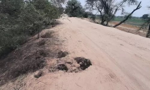 Sirsa के किसानों ने कमजोर तटबंधों के कारण बाढ़ के खतरे की चेतावनी दी