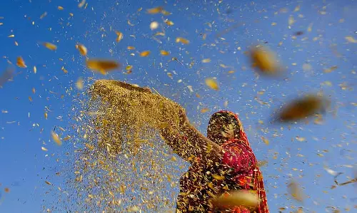 Odisha: धान खरीदी मामले में मां बिराजा स्वसहायता समूह को मिली राहत Odisha: धान खरीदी मामले में मां बिराजा स्वसहायता समूह को मिली राहत