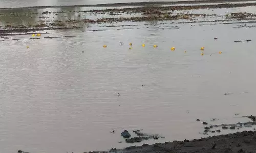 बढ़ी हुई आर्द्रता; बिना अंकुरित अनाज