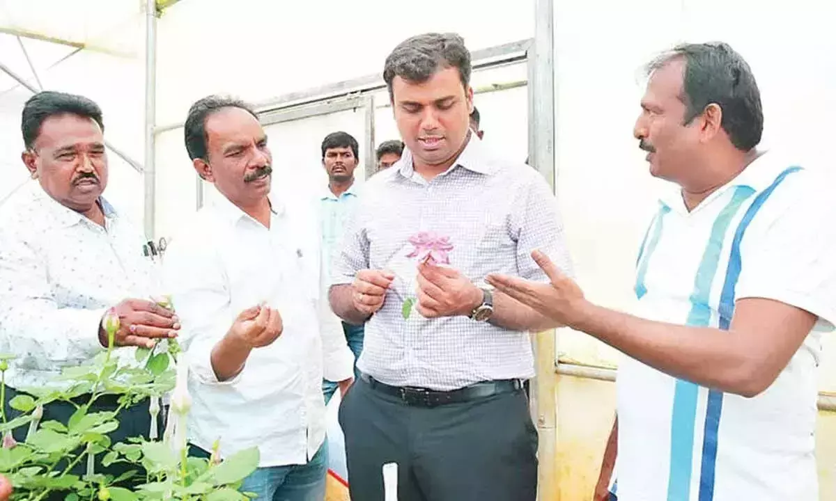 सीमा के गुलाब उत्पादक किसान ने वैश्विक बाजार में खूब ख्याति अर्जित की