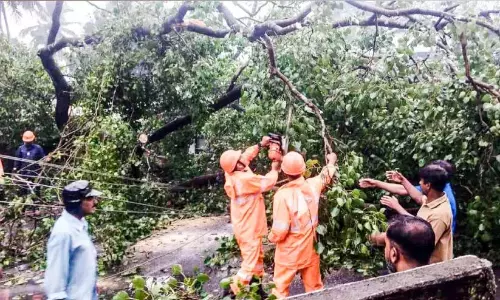 Kerala : बरगद के पेड़ की टहनी गिरने से शिक्षक व छात्र घायल Kerala : बरगद के पेड़ की टहनी गिरने से शिक्षक व छात्र घायल