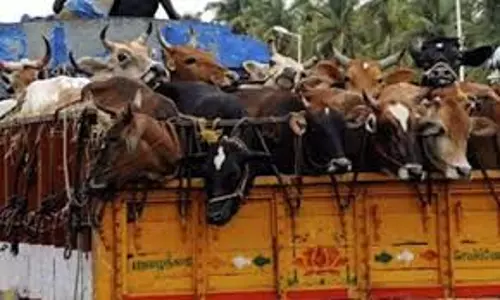 Andhra: मवेशी ट्रक चालक से जबरन पैसे ऐंठने के आरोप में तीन जालसाज गिरफ्तार