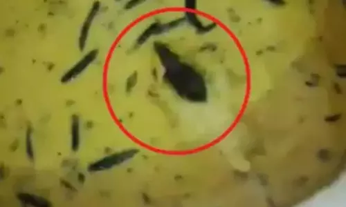 चटनी में कीड़ा परोसा, विरोध जताने पर बहस करने लगा नेता जी होटल का संचालक चटनी में कीड़ा परोसा, विरोध जताने पर बहस करने लगा नेता जी होटल का संचालक